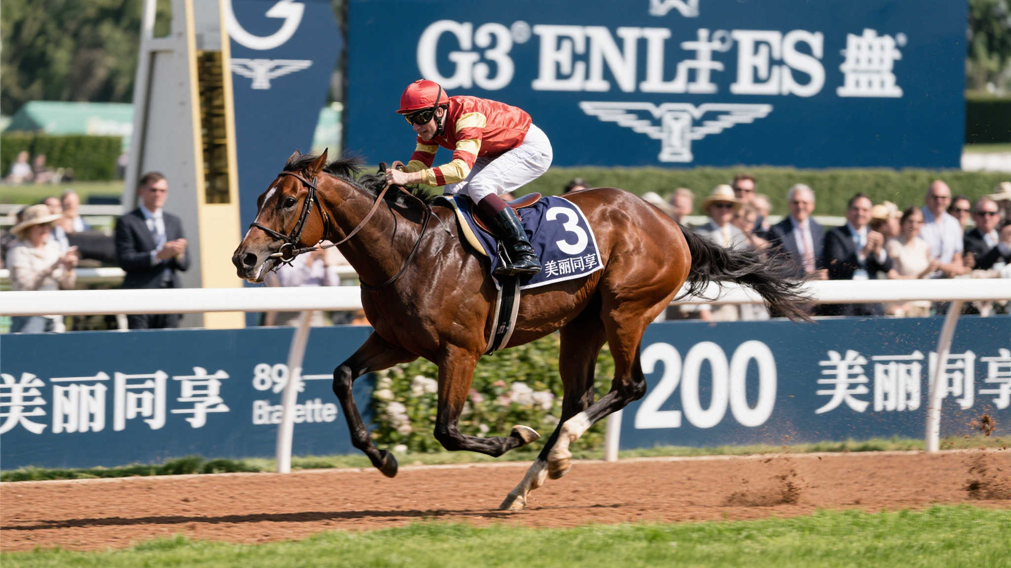 八岁战驹美丽同享绝尘而出,冲刺问鼎G3精英碟赛四冠王 八岁战驹美丽同享绝尘而出,冲刺问鼎G3精英碟赛四冠王